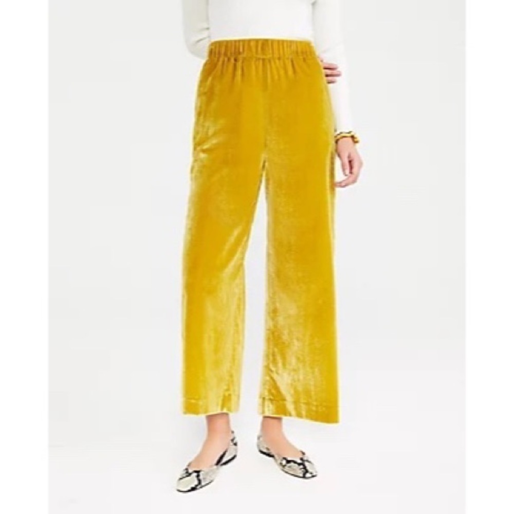 𝅺nwt Ann Taylor The Petite Velvet Pull On Culotte Pants XL Petite